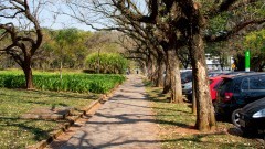 Calçada da Praça do Relógio