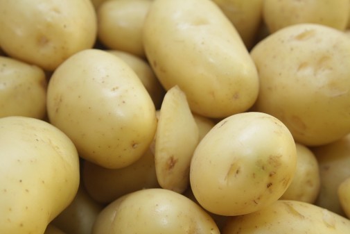 Batatas – Tubérculo