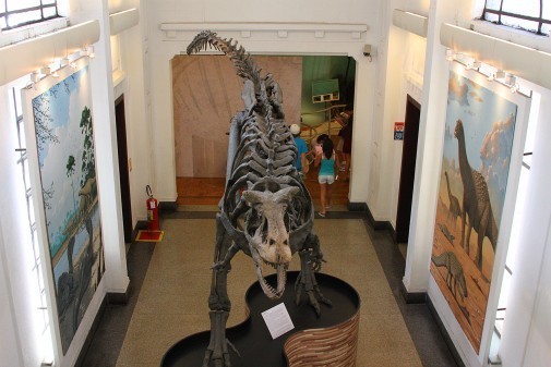 Museu de Zoologia