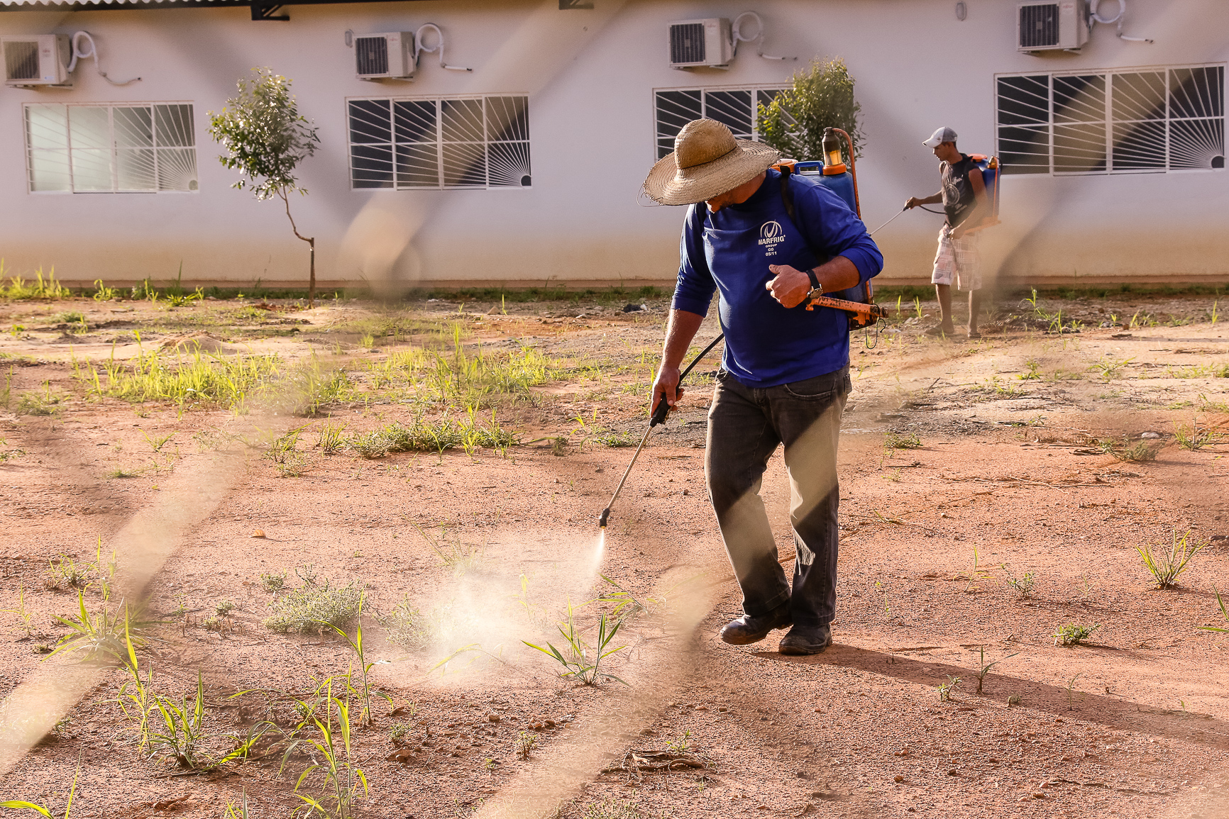 Homem fazendo aplicação de veneno em terreno. Foto: Cecília Bastos/USP Imagem