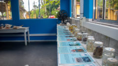 Instalada no litoral sul paulista, a base oferece apoio às atividades de ensino e pesquisa do Instituto Oceanográfico