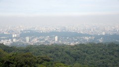 Trilha do Núcleo Pedra Grande do Parque Estadual da Cantareira e mirante da cidade de São Paulo . foto Cecília Bastos