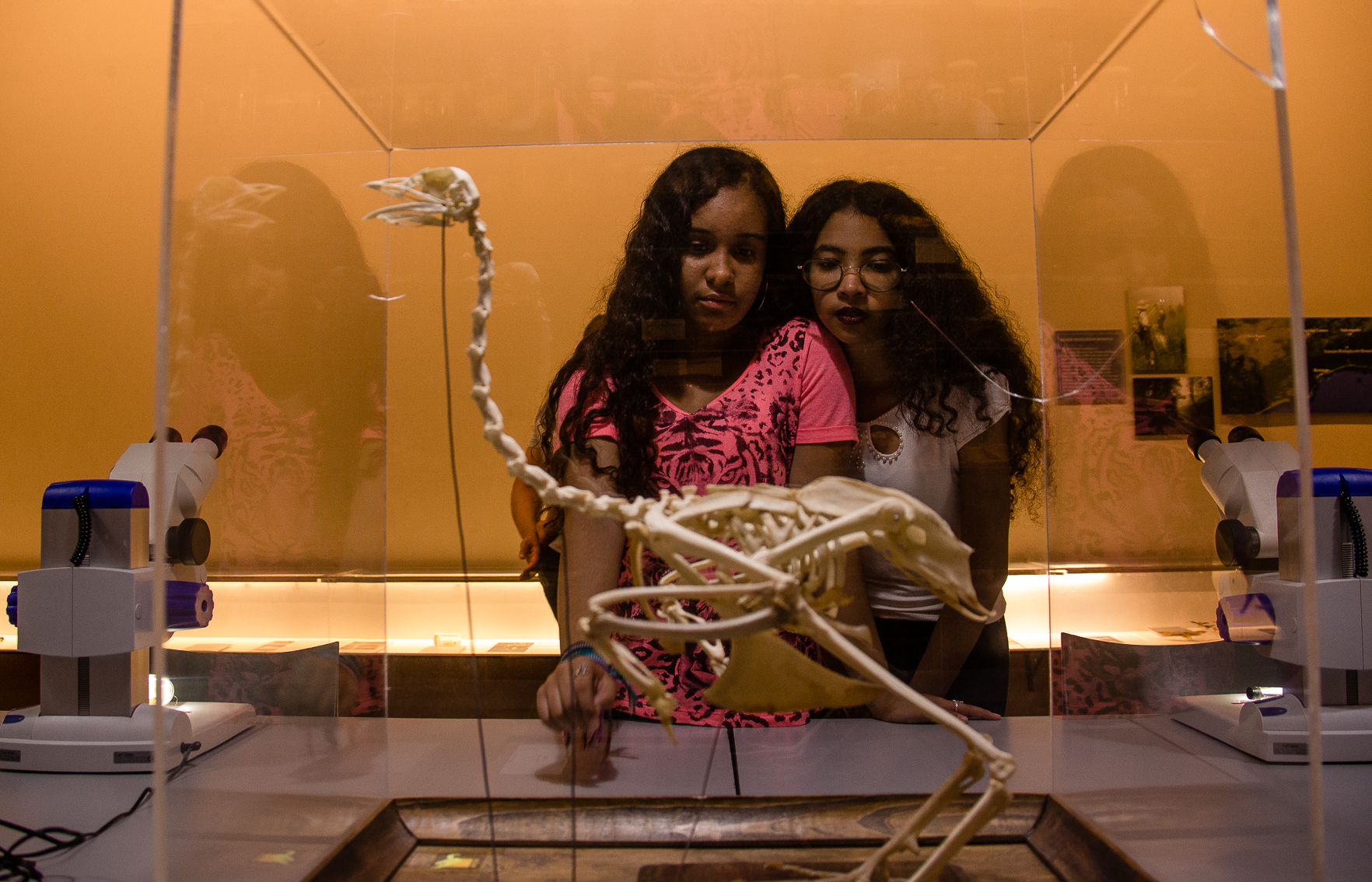 Visita dos alunos do ensino fundamental ao Museu de Zoologia. Data: 29.05.2019 - Local: Museu Zoologia - São Paulo/SP - Foto: Cecília Bastos/USPImagem