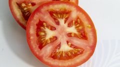 fruto, solanum lycopersicum, tomate