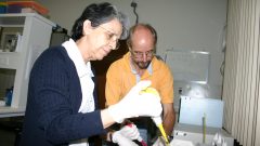 Profs Klaus Hartfelder e Zilá Simões, da FMRP